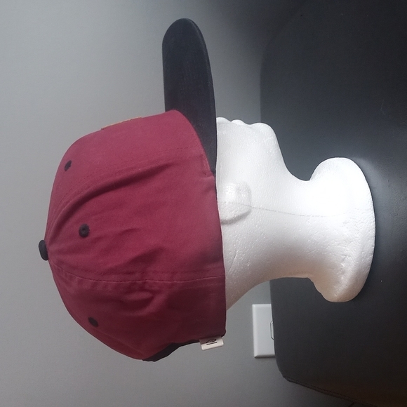 Tentree Cork Emblem Snapback Baseball Cap - Picture 4 of 10